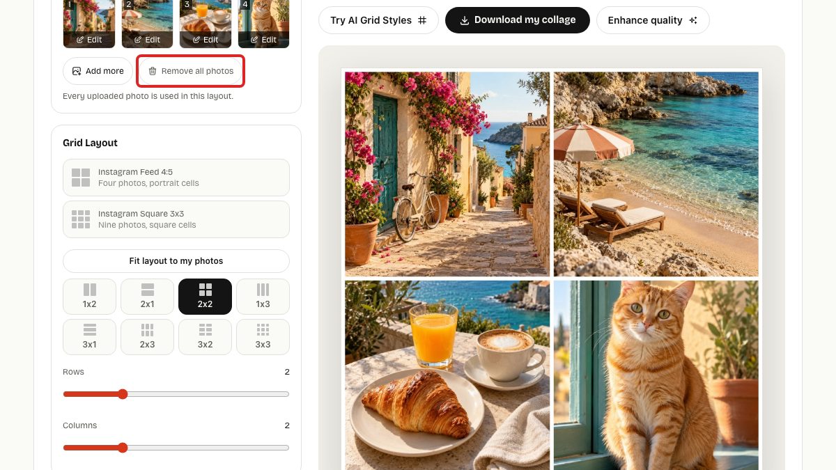 Collage controls with the Remove all photos button highlighted and the Grid Layout settings unchanged
