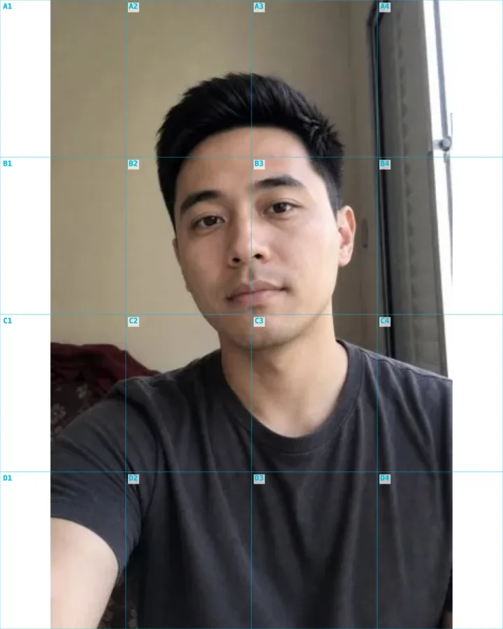 Drawing grid